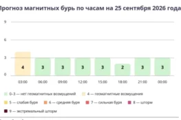 Прогноз магнитных бурь по часам на 25 сентября 2026 года. Инфографика