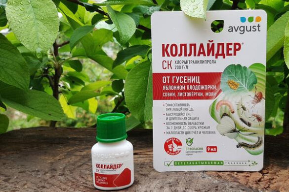 Препарат «Коллайдер» для защиты сада и огорода от гусениц и колорадского жука. Инструкция по применению
