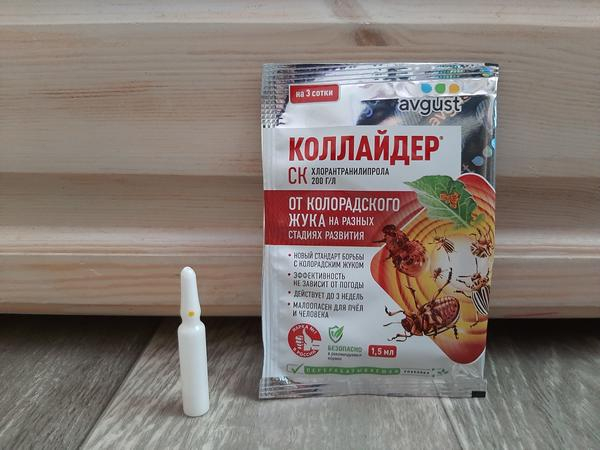 5 опасных периодов для картофеля: что ему угрожает и как уберечь посадки