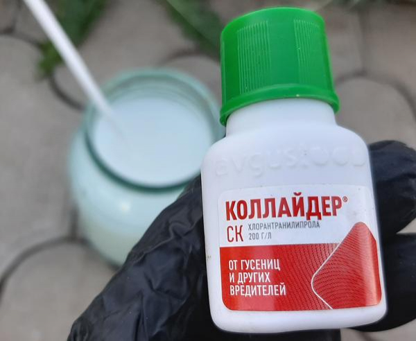 Препарат "Коллайдер" для защиты сада и огорода от гусениц и колорадского жука. Инструкция по применению Препарат "Коллайдер" для защиты сада и огорода от гусениц и колорадского жука. Инструкция по применению
