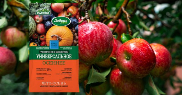 Осенняя подкормка яблонь: чем, когда и как удобрять для обильного урожая