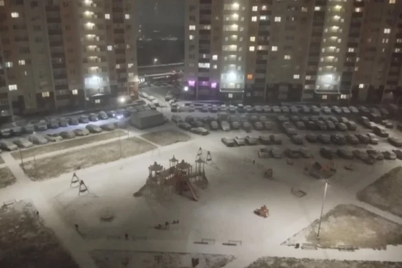 Уже в ноябре! Синоптики назвали дату, когда пойдет первый снег в Москве