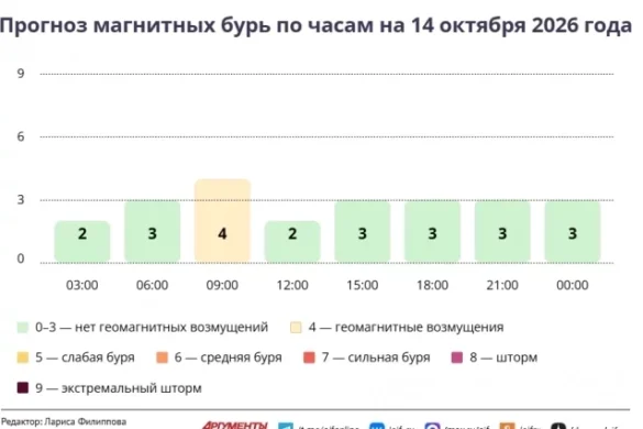 Прогноз магнитных бурь по часам на 14 октября 2026 года. Инфографика